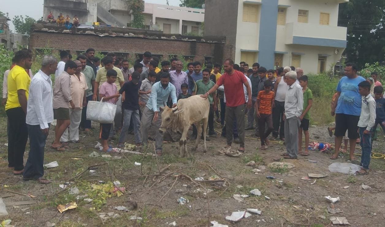 विहिरीत पडलेल्या गाईला अमळनेर अग्निशमन दलाकडून जीवदान