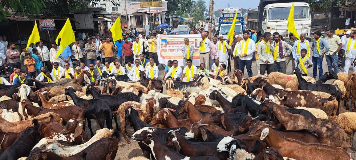 धनगर समाजाला एसटी प्रवर्गातून आरक्षणासाठी अमळनेररात रस्ता रोको…