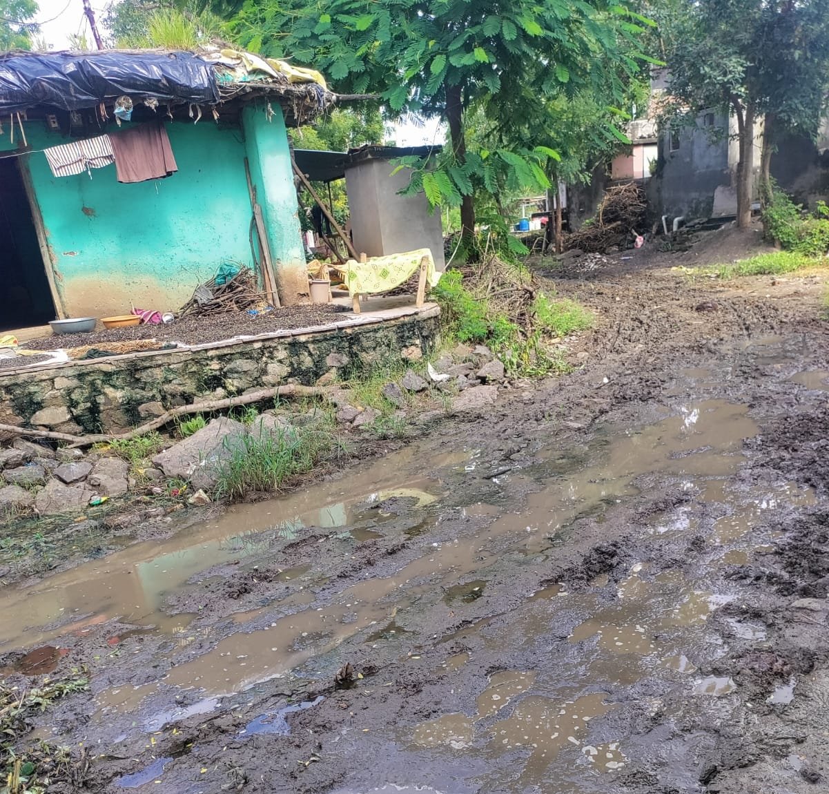 वासरे गावात घाणीचे साम्राज्य, नागरिकांना आरोग्य धोक्यात