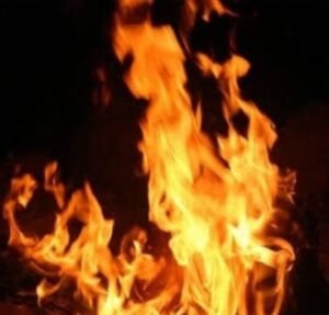 Screenshot_2024-09-20-10-05-51-780_com.google.android.googlequicksearchbox-edit