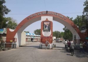 Screenshot_2025-09-22-11-13-21-588_com.google.android.googlequicksearchbox-edit