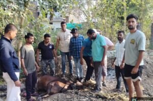 IMG-20260331-WA0023(1)