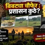 बिबट्या अमळनेर चौफेर; प्रशासन कुठे ?