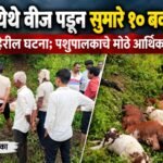 साकरे येथे वीज पडून सुमारे १० बकऱ्यांचा मृत्यू